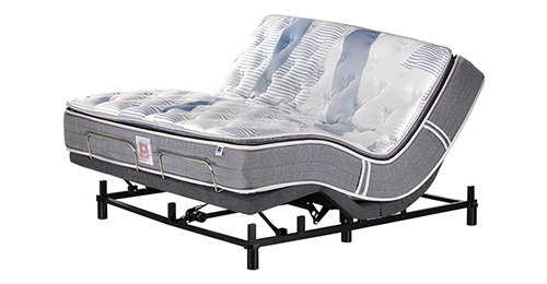 Active Pro Honor Auto