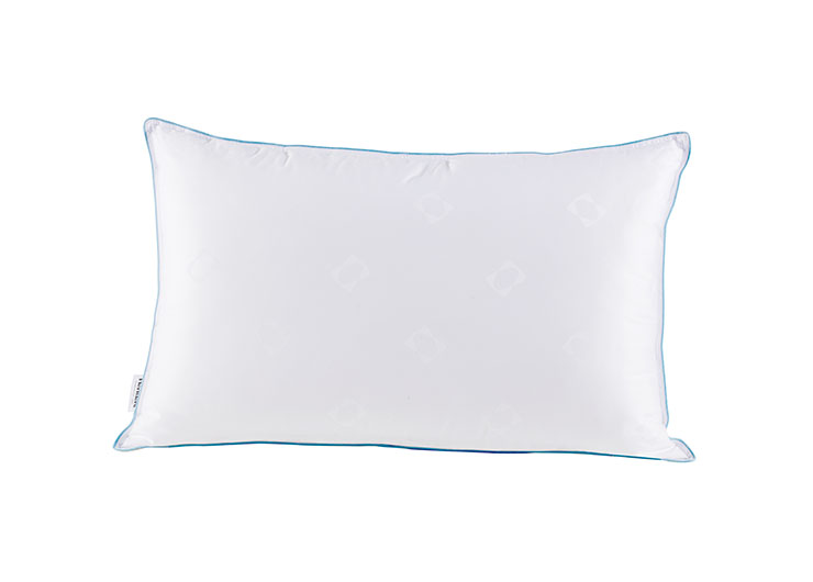 未标题-1_0003_IMG_0254